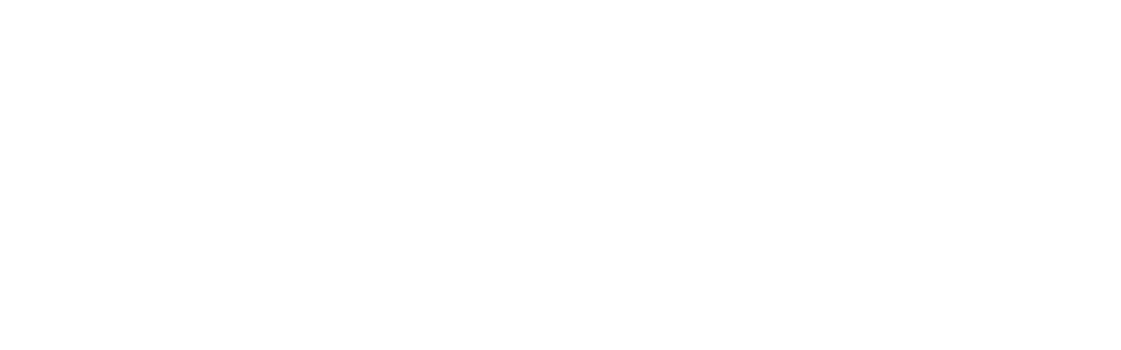 light logo